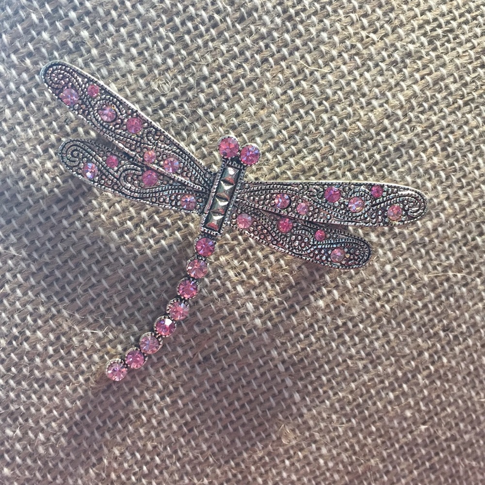 Dragon fly pin